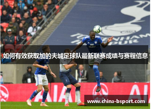 如何有效获取加的夫城足球队最新联赛成绩与赛程信息