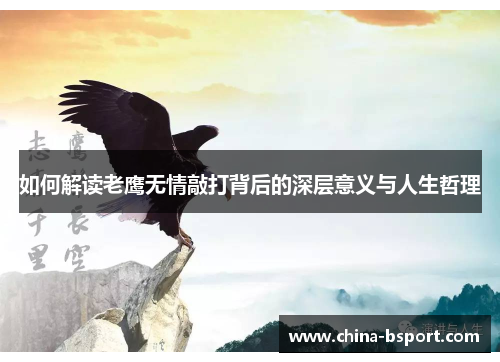 如何解读老鹰无情敲打背后的深层意义与人生哲理